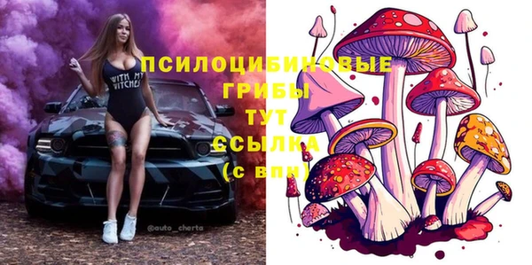 СК Сосновоборск