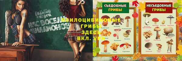 СК Сосновоборск