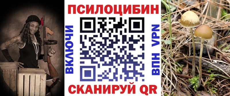 Галлюциногенные грибы MAGIC MUSHROOMS  Голицыно 